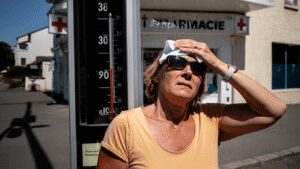 Morts liées à la chaleur : un bilan complexe établi en plusieurs étapes