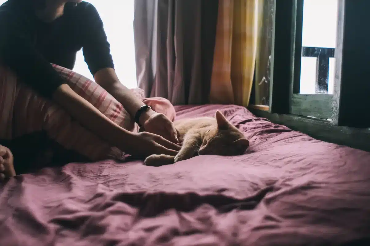Personne dormant paisiblement dans une chambre avec lumière douce du matin