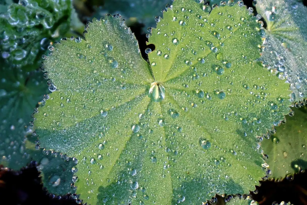 Verre d'eau et médicaments sur une table près de mains âgées