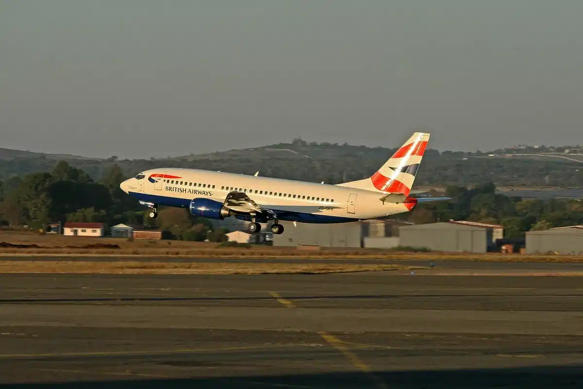 Membres d'équipage consultant une liste à bord d'un avion en plein jour