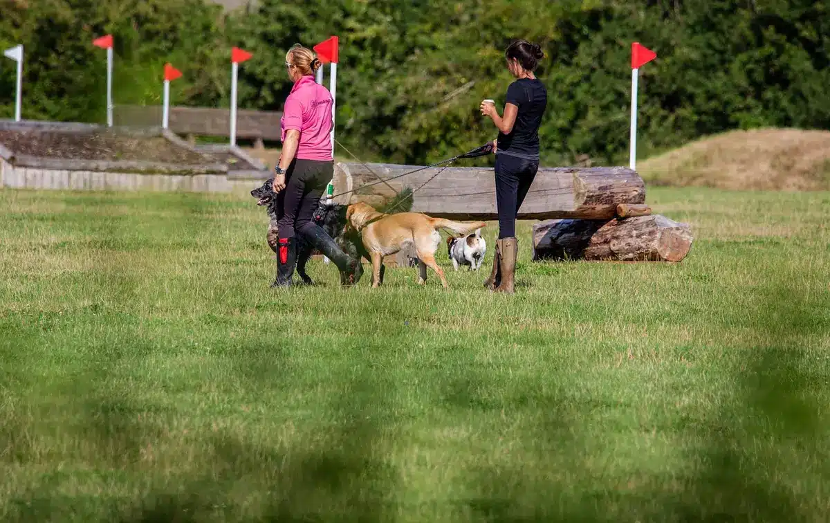 Personne marchant tôt le matin sur un chemin, montrant l'effort léger et l'activité musculaire