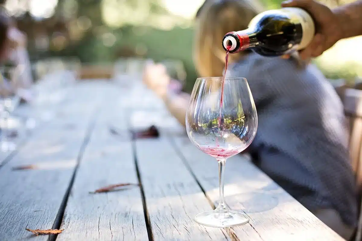Maisons proches d'un vignoble montrant la distance jusqu'à 500 mètres
