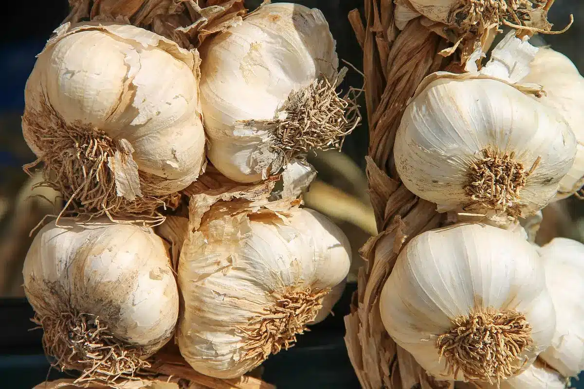Personne anonyme prenant des notes près d'une assiette de légumes sur une table baignée de lumière
